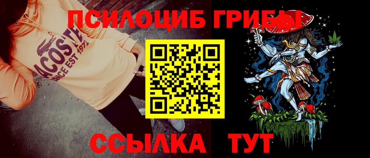 Псилоцибиновые грибы мухоморы Солнечногорск